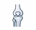 Knee