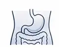 abdomen
