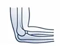 elbow