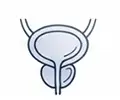 prostat